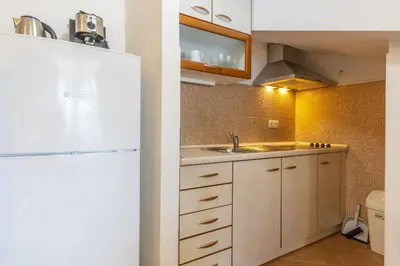 Kuhinja ili čajna kuhinja u objektu Apartment Jelsa 8729a