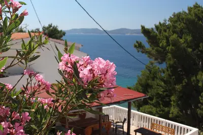 Priroda u blizini apartmana