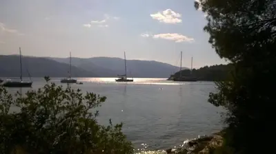 Priroda u blizini apartmana