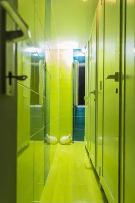 Kupaonica u objektu White Rabbit Hostel