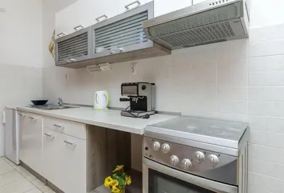 Kuhinja ili čajna kuhinja u objektu Apartment Zvone