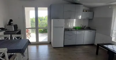 Kuhinja ili čajna kuhinja u objektu Apartments Basina