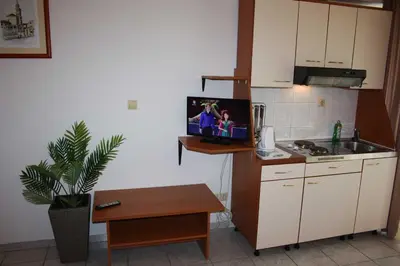 Kuhinja ili čajna kuhinja u objektu Villa dvor apartments