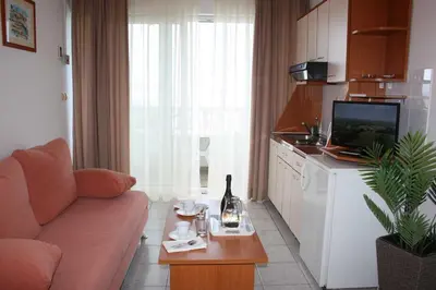 Kuhinja ili čajna kuhinja u objektu Villa dvor apartments
