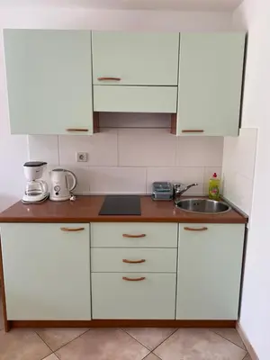 Kuhinja ili čajna kuhinja u objektu Apartments Villa Medic