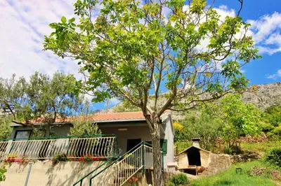 Vrt u objektu Holiday Home Jozo
