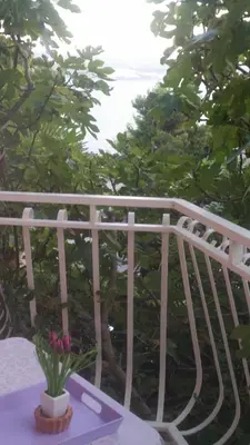 Balkon ili terasa u objektu Apartments House of the rising sun - Puljic