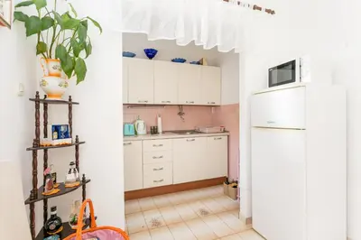 Kuhinja ili čajna kuhinja u objektu Apartments by the sea Mirca - Brac - 2854