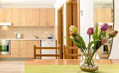 Kuhinja ili čajna kuhinja u objektu Beach Resort Apartments Bucina