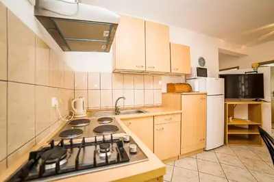 Kuhinja ili čajna kuhinja u objektu Apartments Bakula 1539