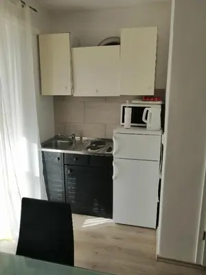 Kuhinja ili čajna kuhinja u objektu Apartment Roky