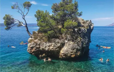 Priroda u blizini apartmana