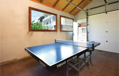 Stolni tenis u objektu Apartment Srinjine I ili u blizini