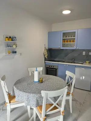 Kuhinja ili čajna kuhinja u objektu Apartment Ana