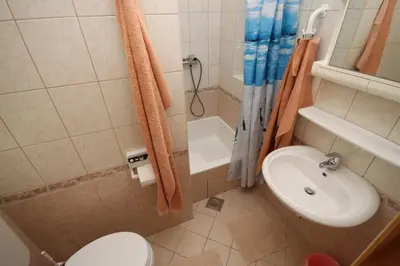 Kupaonica u objektu Apartments and rooms with parking space Baska Voda, Makarska - 6704