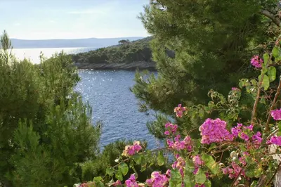 Tlocrt objekta Seaside apartments with a swimming pool Puntinak, Brac - 769