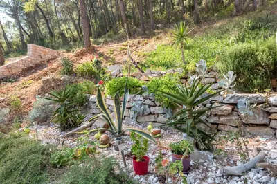 Vrt u objektu Apartments by the sea Cove Vela Stiniva, Hvar - 6864