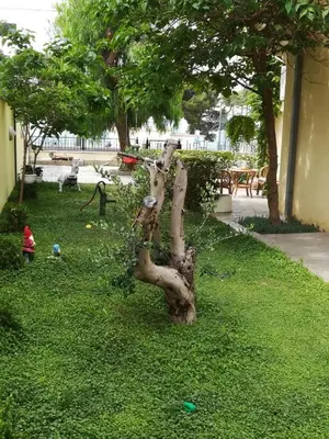 Vrt u objektu Apartmani Morango