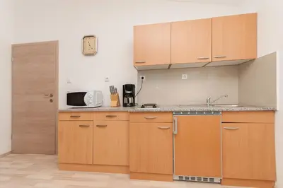 Kuhinja ili čajna kuhinja u objektu Apartmani Vesna