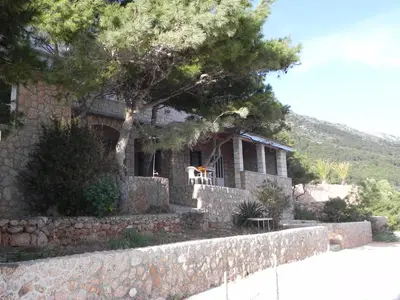 Priroda u blizini apartmana