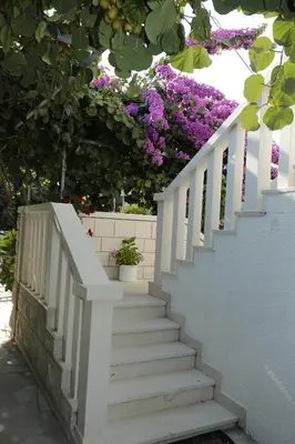 Vrt u objektu Apartments Marino