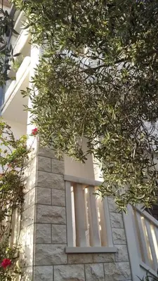 Zgrada u kojoj se nalazi apartman