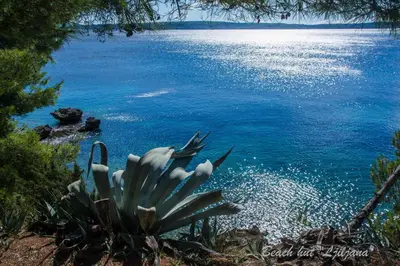 Priroda u blizini turističkih naselja
