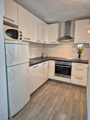 Kuhinja ili čajna kuhinja u objektu Apartments Buktenica