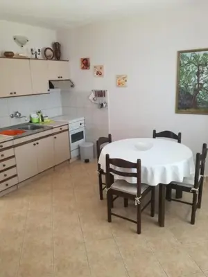 Kuhinja ili čajna kuhinja u objektu Apartments Zlatko Slobodan