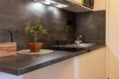 Kuhinja ili čajna kuhinja u objektu Maslina Apartments