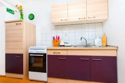Kuhinja ili čajna kuhinja u objektu Apartment Mandic