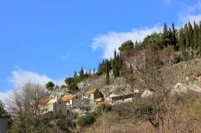 Priroda u blizini apartmana