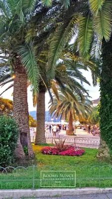 Vrt u objektu ꕥ ROOMS SUNCE, Family choice, Best Panoramic view, Supetar Island Brac