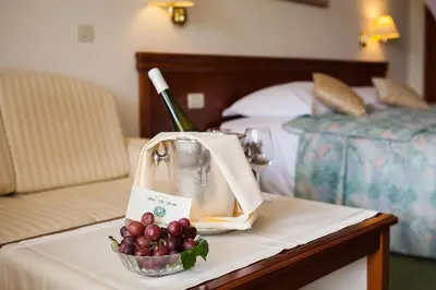 Krevet ili kreveti u jedinici u objektu Hotel Villa Bacchus