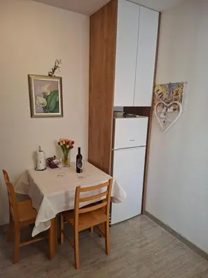 Kuhinja ili čajna kuhinja u objektu Apartments Elvira