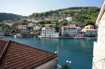 Priroda u blizini apartmana
