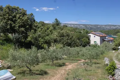 Priroda u blizini apartmana