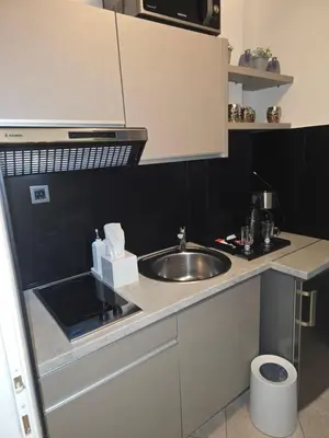 Kuhinja ili čajna kuhinja u objektu Apartments iris