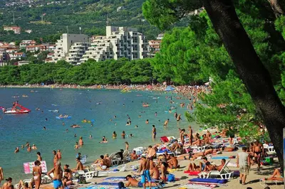 Priroda u blizini apartmana