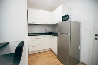 Kuhinja ili čajna kuhinja u objektu Apartment Zore