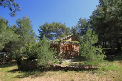 Priroda u blizini vikendica
