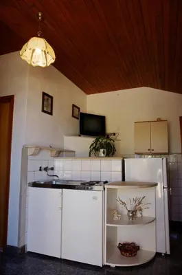 Kuhinja ili čajna kuhinja u objektu Apartments by the sea Sumartin, Brac - 12036