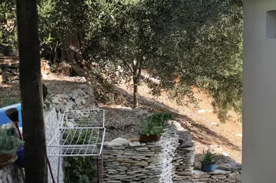 Vrt u objektu Seaside secluded apartments Cove Torac, Hvar - 4044