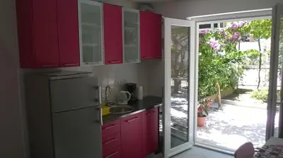 Kuhinja ili čajna kuhinja u objektu Apartment Anđelka