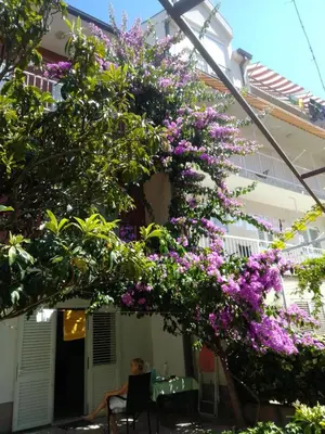 Vrt u objektu Apartment Anđelka