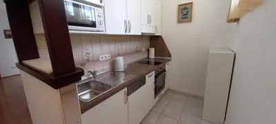 Kuhinja ili čajna kuhinja u objektu Apartments Ivan
