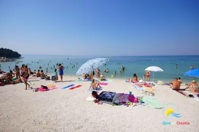 Priroda u blizini apartmana