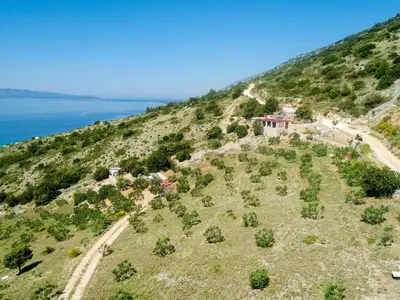 Priroda u blizini apartmana