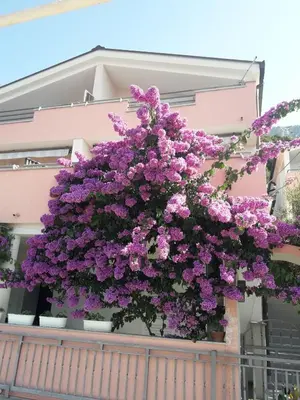 Tlocrt objekta Apartments Galic