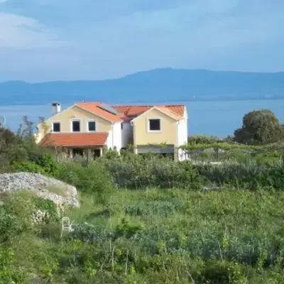 Jenny`s House